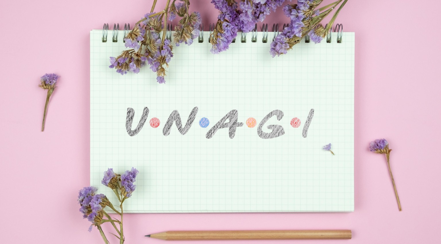 Unagi Cover