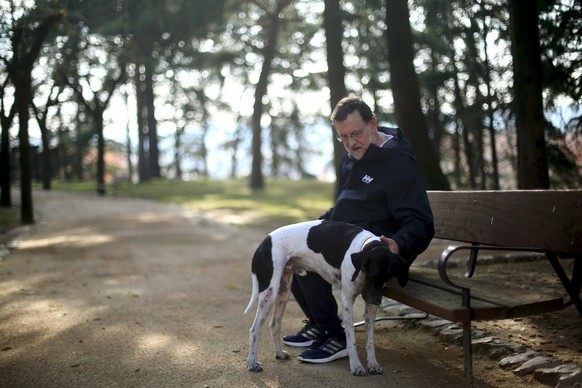 «Wag the Dog»: Am Vorabend der Wahl (Samstag) entspannt sich der amtierende Ministerpräsident Rajoy bei einem Spaziergang.