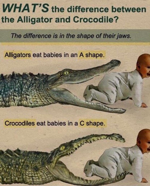 Der Unterschied zwischen Alligatoren und Krokodilen: Alligatoren essen Babys in einer A-Form, während es Krokodile mit einer C-Form tun.