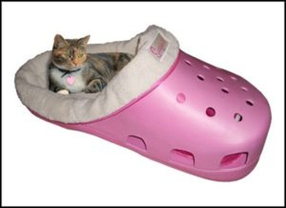 Cat Croc Bed
https://imgur.com/gallery/xIL1XH7