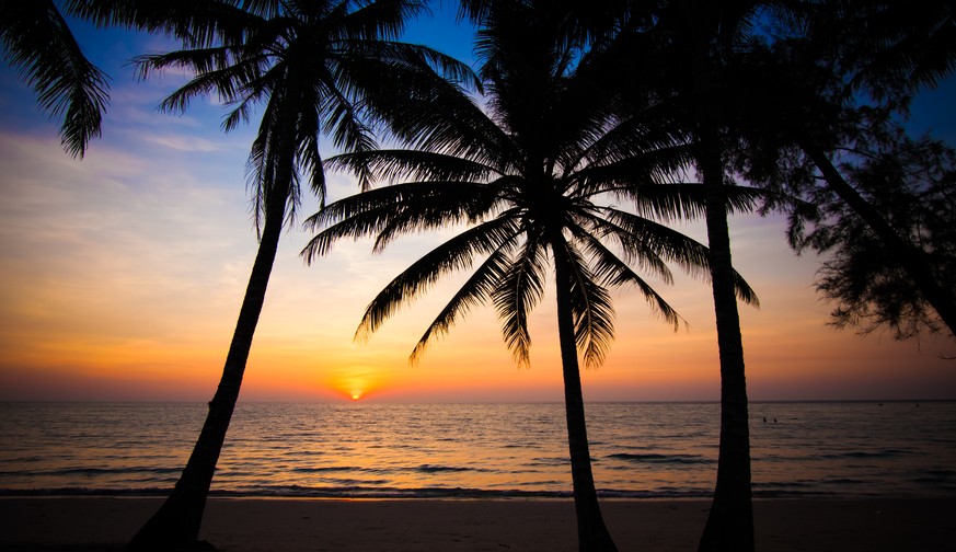 Tropen Strand Sonne Palmen