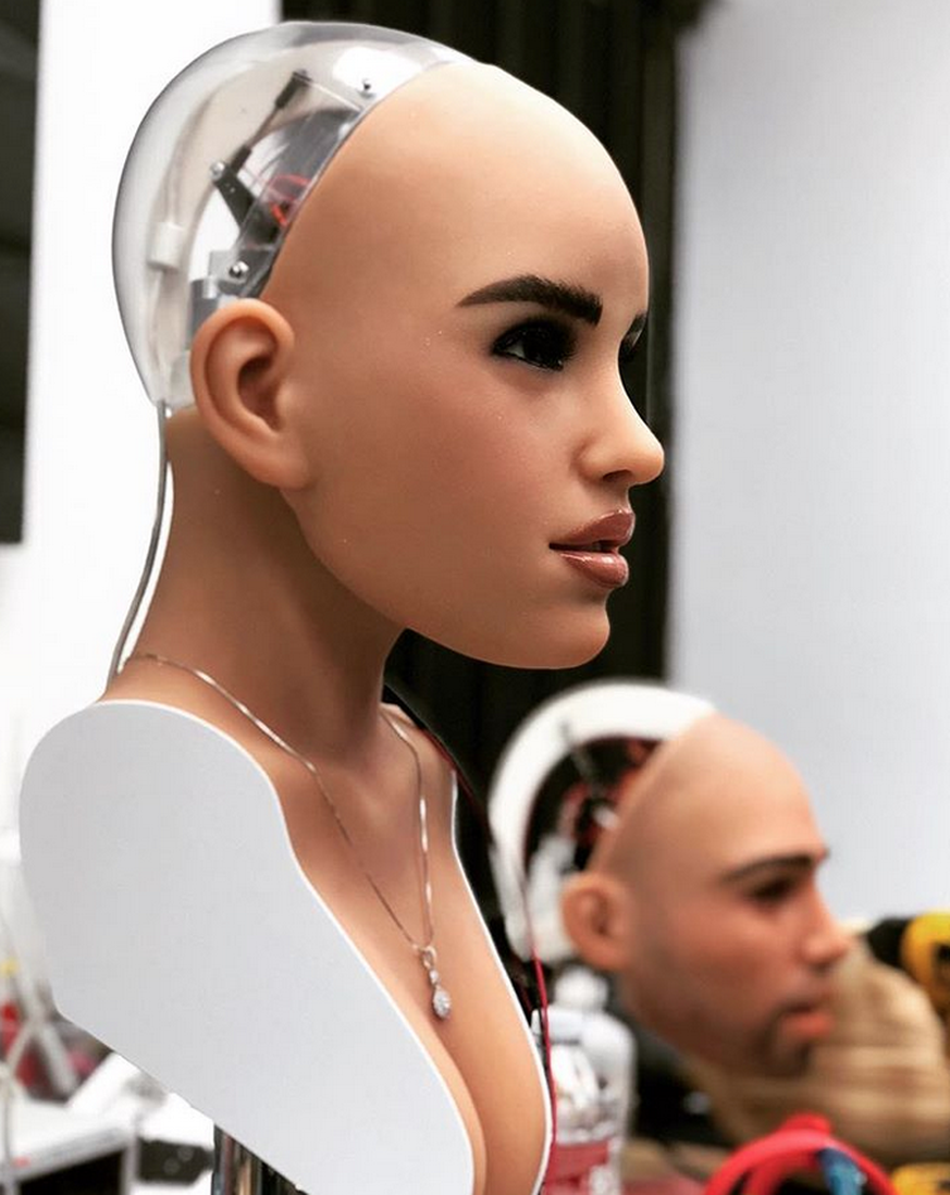 AI, sexrobots, sexdolls, real dolls