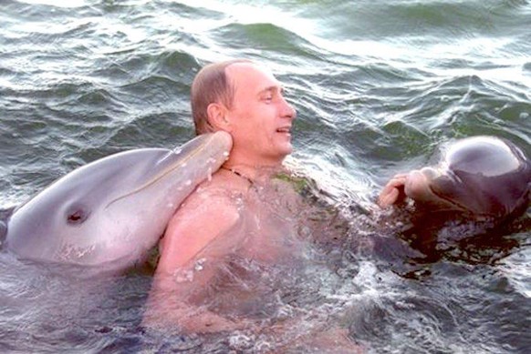 Ja, es ist Putin. Der mit Delfinen schwimmt. Man sagt sogar, Delfine müssten bezahlen, um mit Putin schwimmen zu dürfen.