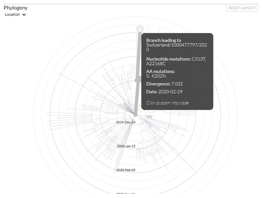 Coronavirus Nextstrain Screenshot Interaktive Grafik