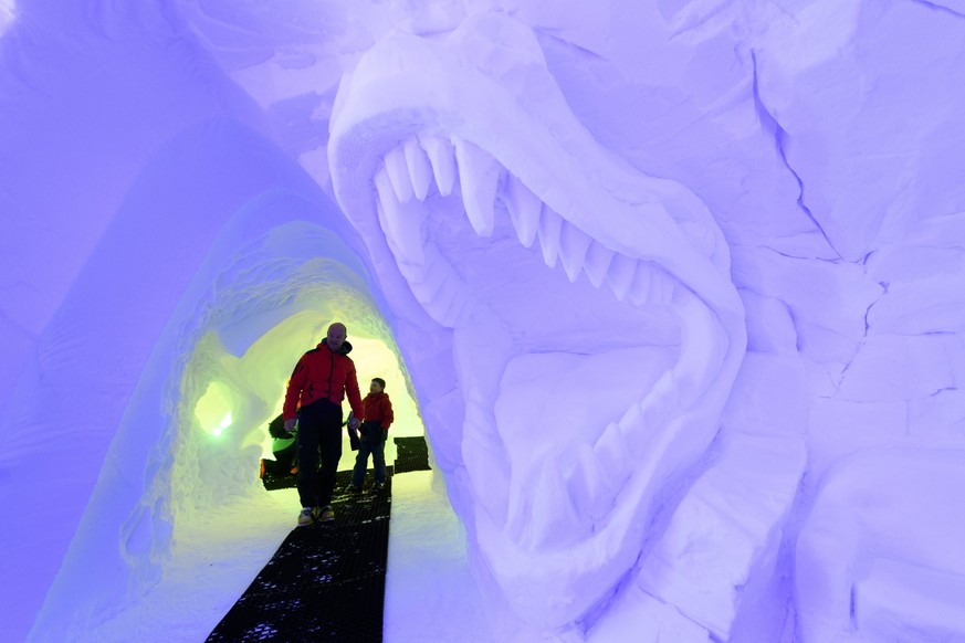 epaselect epa06403900 Visitors look at ice sculptures of dinosaurs and other prehistoric animals on display in an artificial cave measuring more than 30 metres long and 15 metres wide and made with 1, ...
