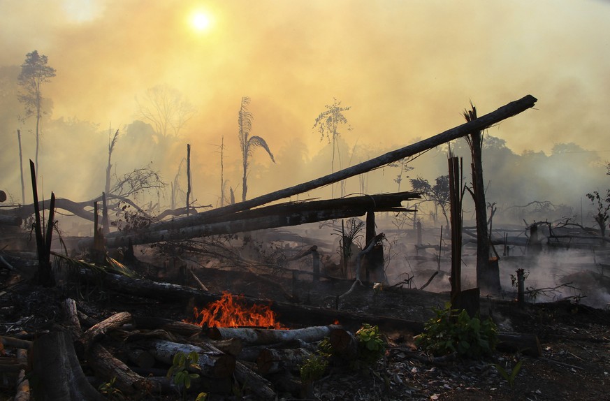 An area consumed by fires sits scorched near Labrea, Amazonas state, Brazil, Friday, Aug. 7, 2020. According to the National Institute for Space Research, fires in the Brazilian Amazon increased 28% i ...