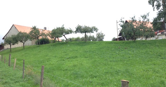 Eine weitere Hofsiedlung in Villarsel-sur-Marly.
