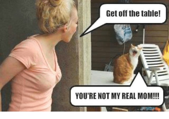 You&#039;re not my real mom!
Cute News
https://awwmemes.com/i/19991352