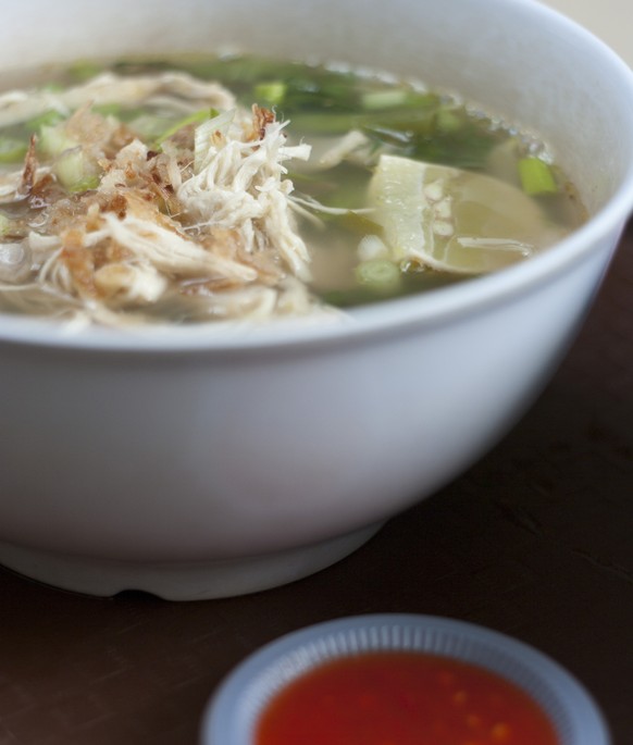 chinesisch vietnamesisch malaysisch poulet suppe hühnchen