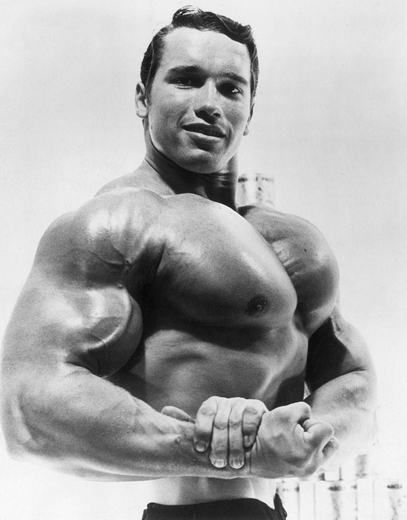 circa 1967: Studio portrait of Austrian-born bodybuilder Arnold Schwarzenegger flexing his torso in an advertisement for a German protein product. (Photo by Hulton Archive/Getty Images)
