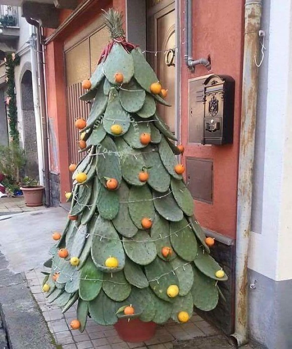 Weihnachtsbaum Mexico