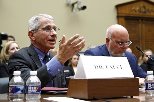 Dr. Anthony Fauci, left, director of the National Institute of Allergy and Infectious Diseases, testifies before a House Oversight Committee hearing on preparedness for and response to the coronavirus ...