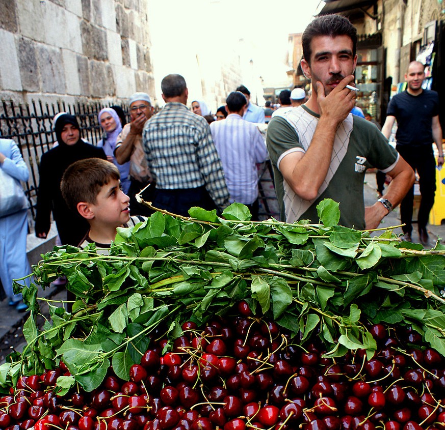 «Du musst unbedingt den Kirsch-Kebap probieren, in Aleppo findest du das beste Essen Syriens» (06.06.2010).