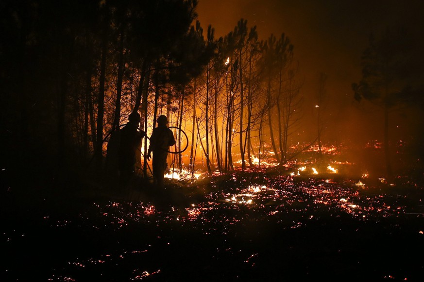 Im vergangenen Jahr waren bei Bränden insgesamt mehr als 94'000 Hektar Wald zerstört worden.&nbsp;