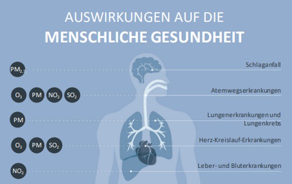 PM2,5 = Feinstaub, O3 = Ozon, PM = Russ (in der Regel PM10), NO2 = Stickstoffdioxid , SO2 = Schwefeldioxid