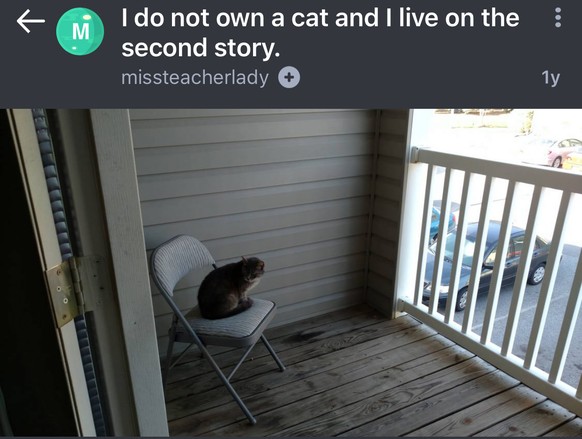 Ich besitze gar keine Katze
https://imgur.com/gallery/I8xoC