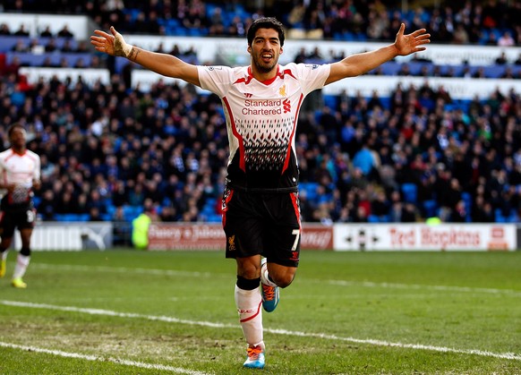 Liverpools Luis Suárez führt die Torschützenliste der Premier League mit 29 Treffern an.