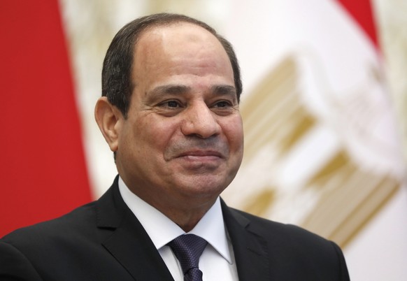 FILE - In this June 18, 2019 file photo, Egyptian President Abdel Fattah al-Sisi meets with Belarusian President Alexander Lukashenko in Minsk, Belarus. Several Egyptian rights groups are calling on a ...