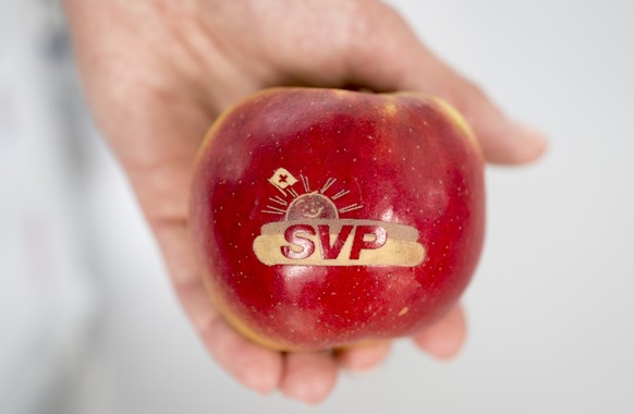 Ein Geschenk der SVP, ein Apfel mit eingraviertem Logo, aufgenommen auf dem Fraktionsausflug der SVP Schweiz auf der MS Thurgau, aufgenommen am Mittwoch, 10. Juni 2015, in Romanshorn. (KEYSTONE/Gian E ...