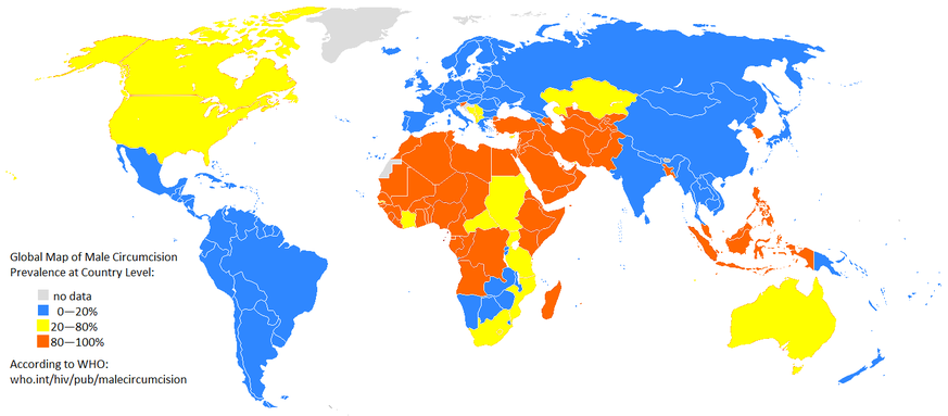 Die Karte wurde von der «World Health Organization» (WHO) erstellt und stammt aus dem Jahr 2004.