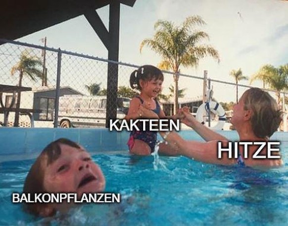 Sommer Memes