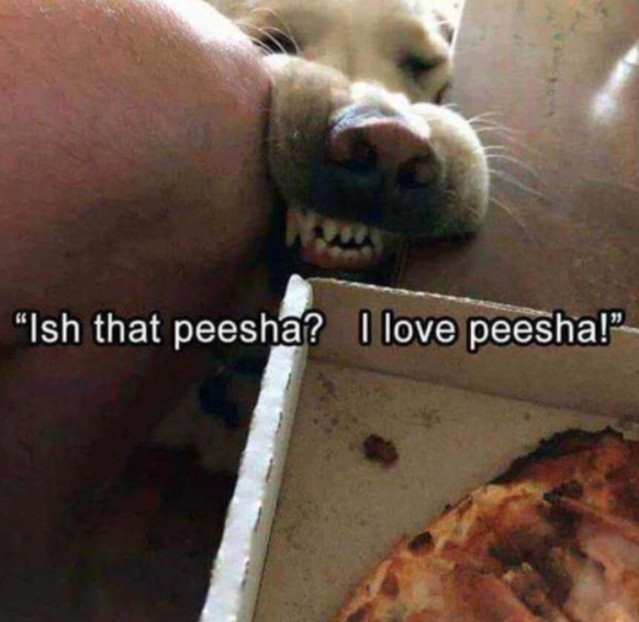 Übersetzung: «Ist das Peesha? Ich liebe Peesha!»