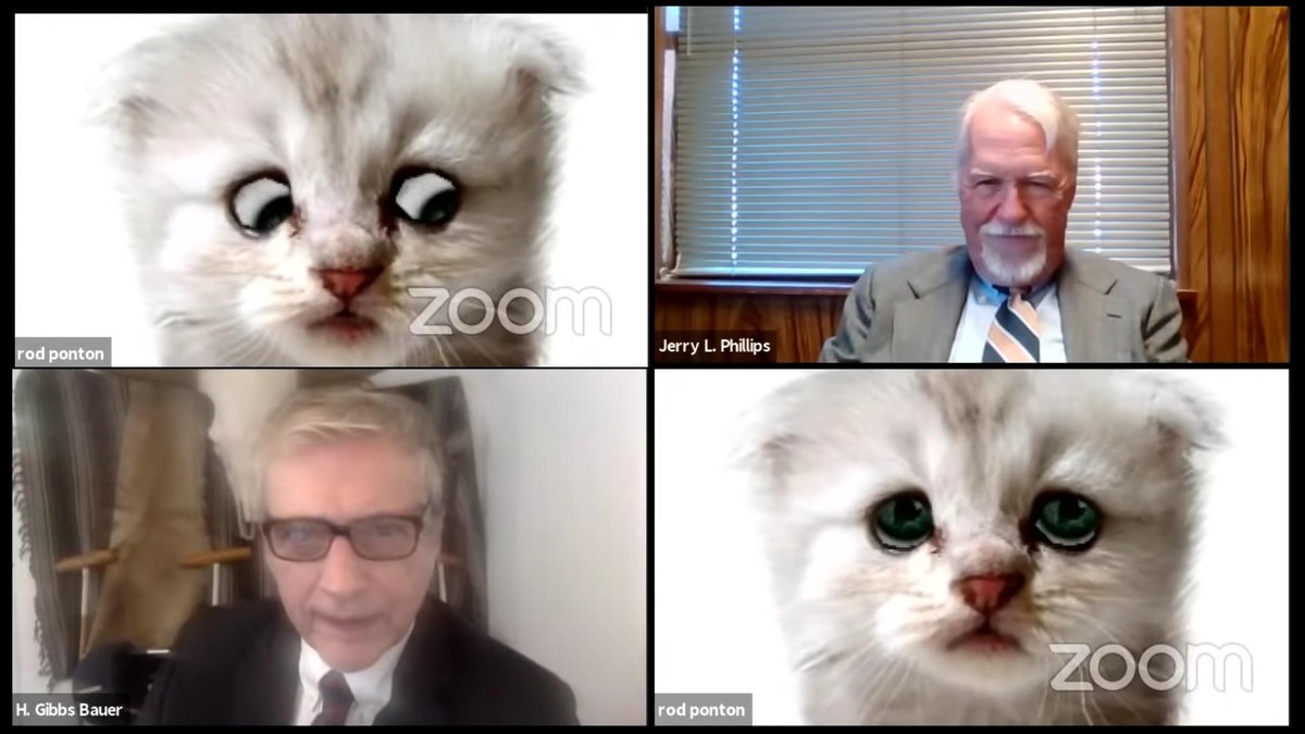 Zoom Fail Anwalt Wird Als Katze Angezeigt Und Sorgt Fur Lacher Watson