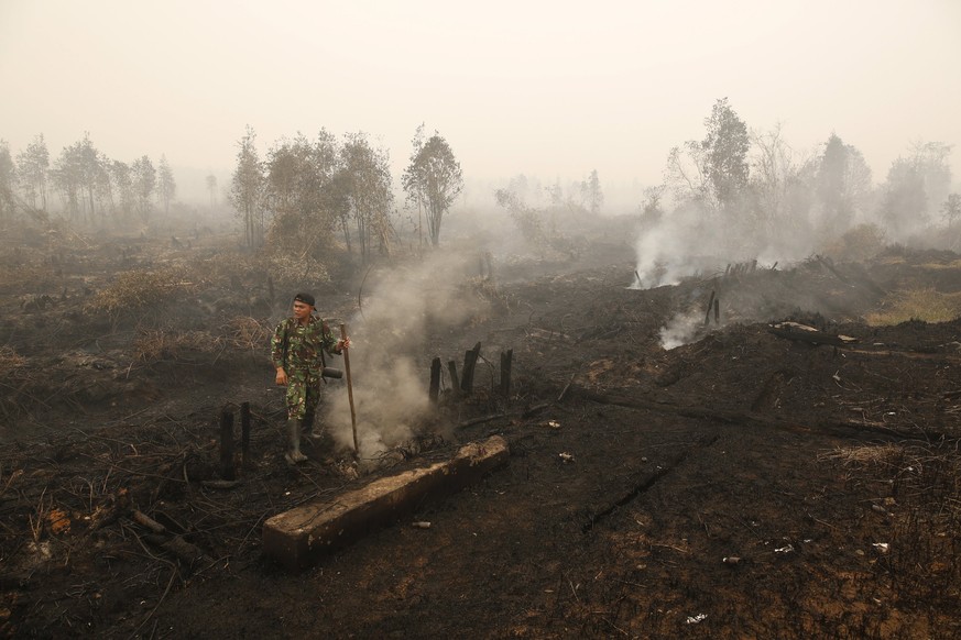 Der El Niño sorgt für extreme Wetterverhältnisse: In Indonesien wüten seit Monaten intensive Waldbrände.