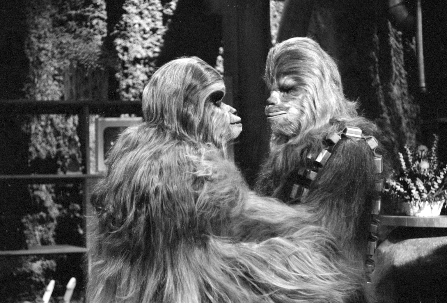 The Star Wars Holiday Special
LOS ANGELES - AUGUST 23: THE STAR WARS HOLIDAY SPECIAL. Mickey Morton (as Malla) and Peter Mayhew (as Chewbacca). Image dated August 23, 1978. (Photo by CBS via Getty Ima ...