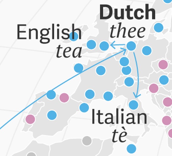 Die Holländer brachten die Teeblätter nach Europa. Aus dem südchinesischen Te wurden das niederländische&nbsp;thee, das englische tea und das italienische tè.