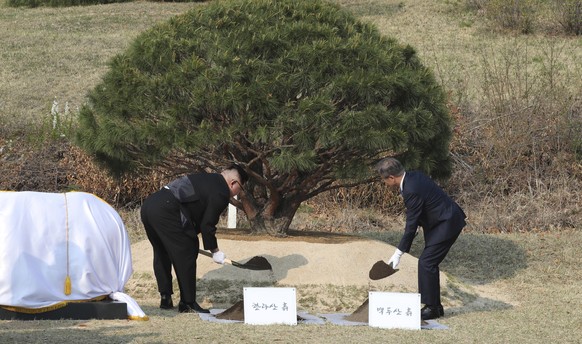 North Korean leader Kim Jong Un, left, and South Korean President Moon Jae-in plant a pine tree near the military demarcation line at the border village of Panmunjom in the Demilitarized Zone, South K ...