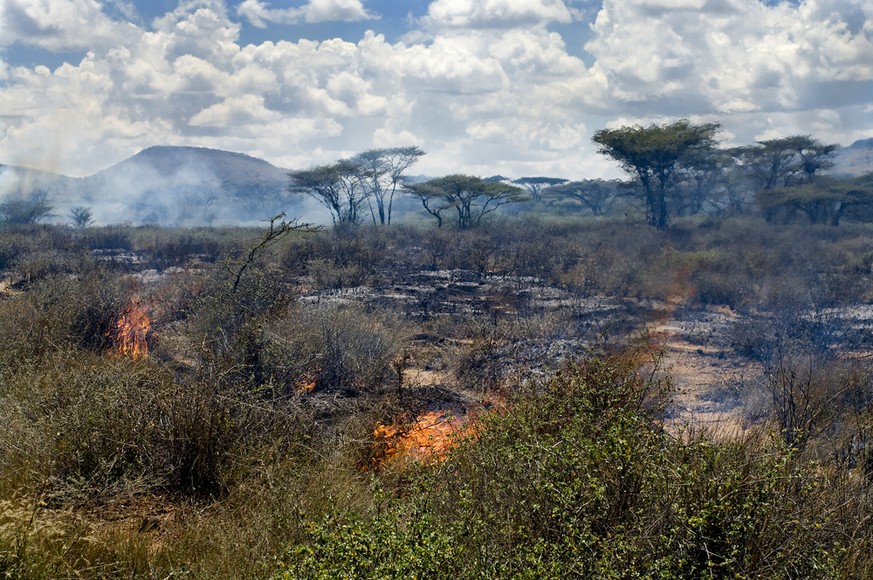 wildfire bushfire savanna kenya