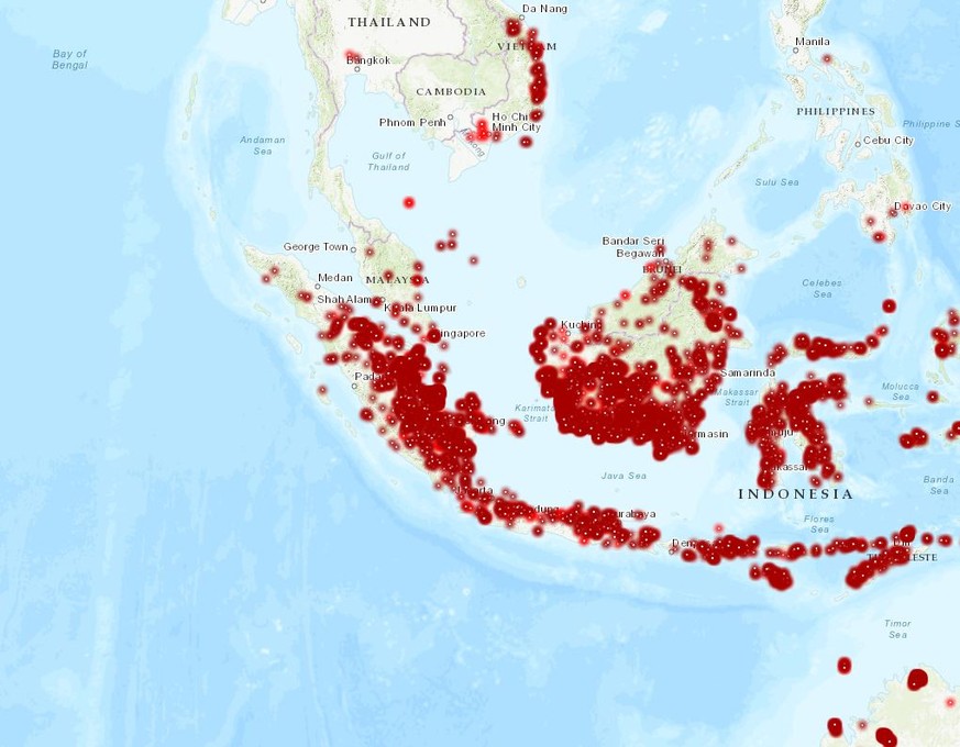 In Indonesien toben derzeit zahlreiche Waldbrände.