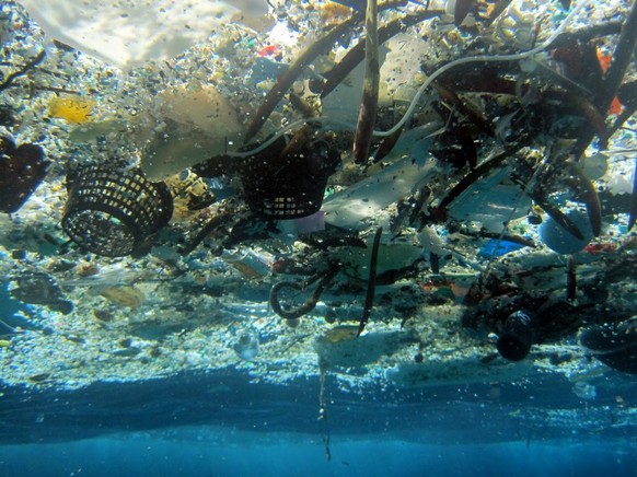 This 2008 photo provided by NOAA Pacific Islands Fisheries Science Center shows debris in Hanauma Bay, Hawaii. A study released by the Proceedings of the National Academy of Sciences on Monday, June 3 ...