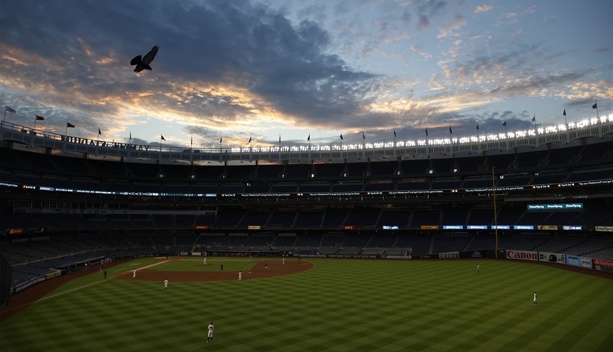 epa08580009 A bird flies over the field during a MLB game between the Boston Red Sox and the New York Yankees in the Bronx, New York, USA, 01 August 2020. EPA/JASON SZENES