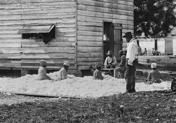 In this photo provided by the Library of Congress, African Americans prepare cotton for the gin on Smith&#039;s plantation, Port Royal Island, S.C., in 1862. (AP Photo/Library of Congress/Timothy H. O ...