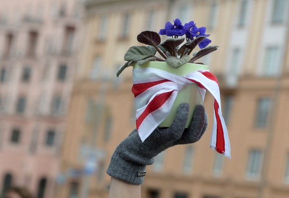 epaselect epa08788773 A participant of women&#039;s peaceful solidarity action holds a flower covered with a flag during a march in Minsk, Belarus, 31 October 2020. Opposition activists continue their ...