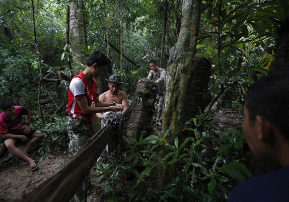 epa07907842 Thai national park officials are undergoing repairs to the damaged elephant barrier on the way to Haew Narok Waterfall, inside Khao Yai National Park, Prachin Buri Province, Thailand, 09 O ...
