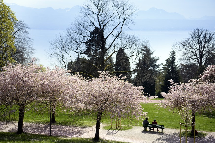 epa05878945 People walk under flowering cherry trees and enjoy the sunshine on an unusually warm spring day on the shore of the Lake of Geneva, in Lausanne, 30 March 2017. EPA/LAURENT GILLIERON