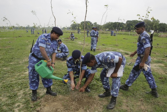 Indian para-military force soldiers plant saplings on the outskirts of Allahabad, India, Monday, July 11, 2016. Hundreds of thousands of people in India&#039;s most populous state Uttar Pradesh are jo ...