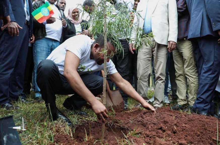 Äthiopiens Premierminister Abiy Ahmed pflanzt einen Baum.