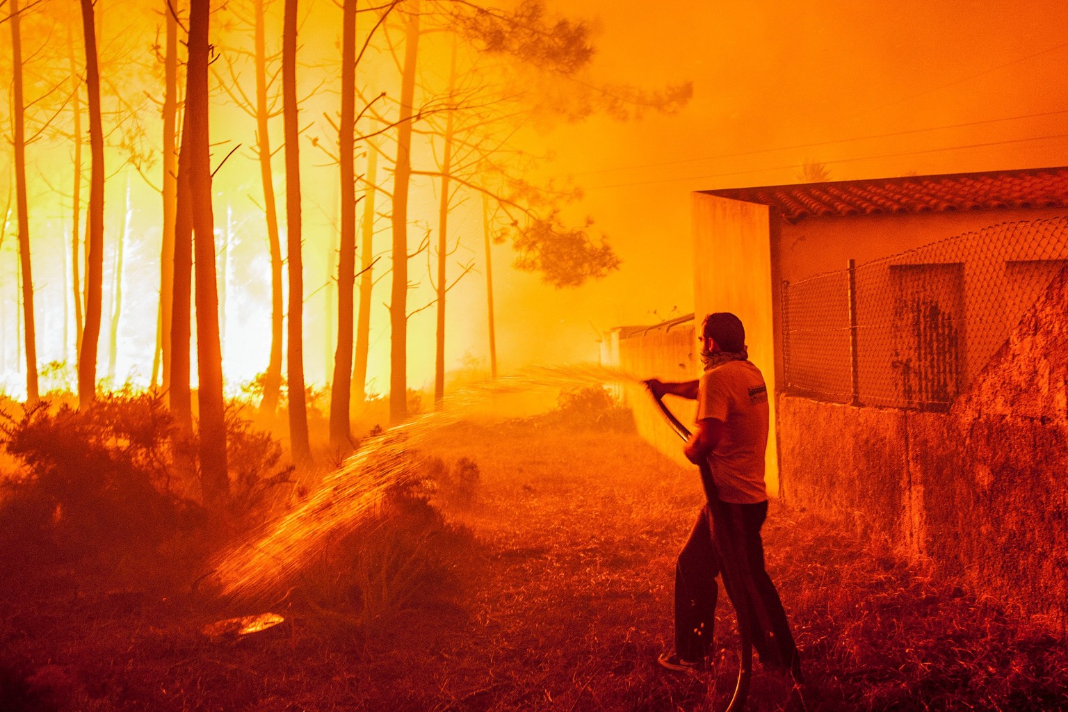 epaselect epa06268835 A man fights with a forest fire in Vieira de Leiria, Marinha Grande, center of Portugal, 16 October 2017. 6,000 firemen supported by 1,800 land vehicules are fighting several wil ...