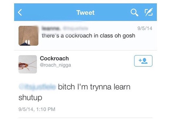 «Da ist eine Kakerlake im Klassenzimmer!» – «Bitch, ich versuche zu lernen!»&nbsp;