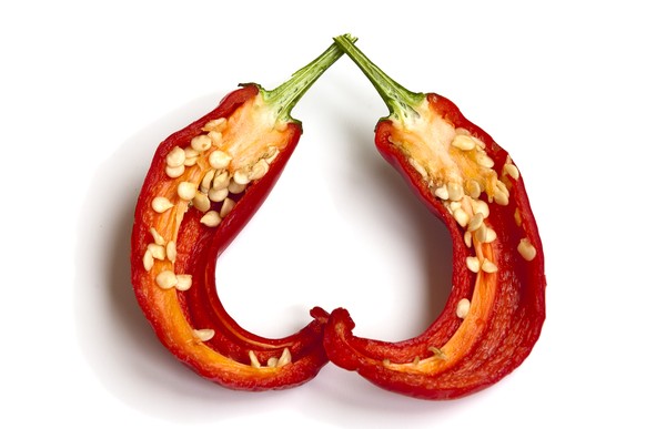 chili schoten peperoncini spicy scharf hot essen food