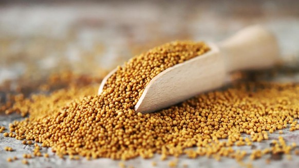 Mustard seeds, Senfkoerner, Senfkörner