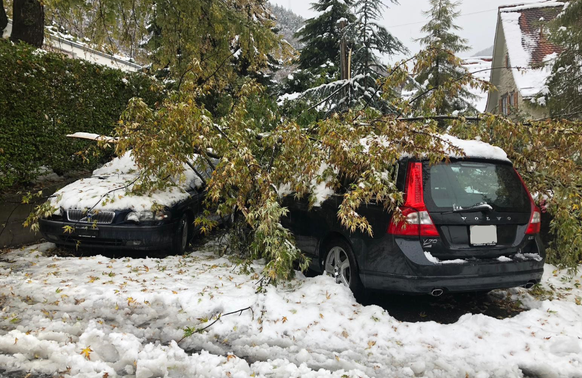 Abgebrochene Äste beschädigten in Chur zahlreiche Autos.&nbsp;