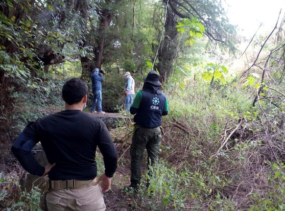 epa08782286 Personnel from the National Commission for the Search of Persons (CNBP) carry out search tasks at different sites in the town of Salvatierra, Guanajuato, Mexico, 28 October 2020. Mexican a ...