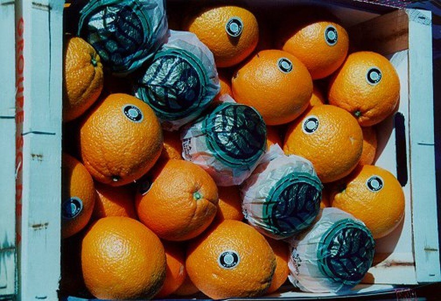 Wie Rudy Giuliani Donald Trump in die Sch... geritten hat
Verhüllte Orangen gehören auch verboten!