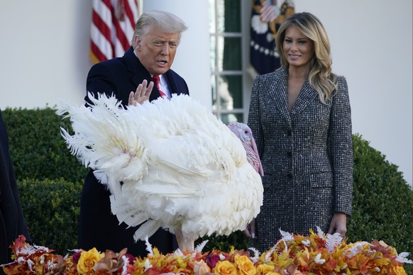 President Donald Trump pardons Corn, the national Thanksgiving turkey, in the Rose Garden of the White House, Tuesday, Nov. 24, 2020, in Washington, as first lady Melania Trump watches. (AP Photo/Susa ...