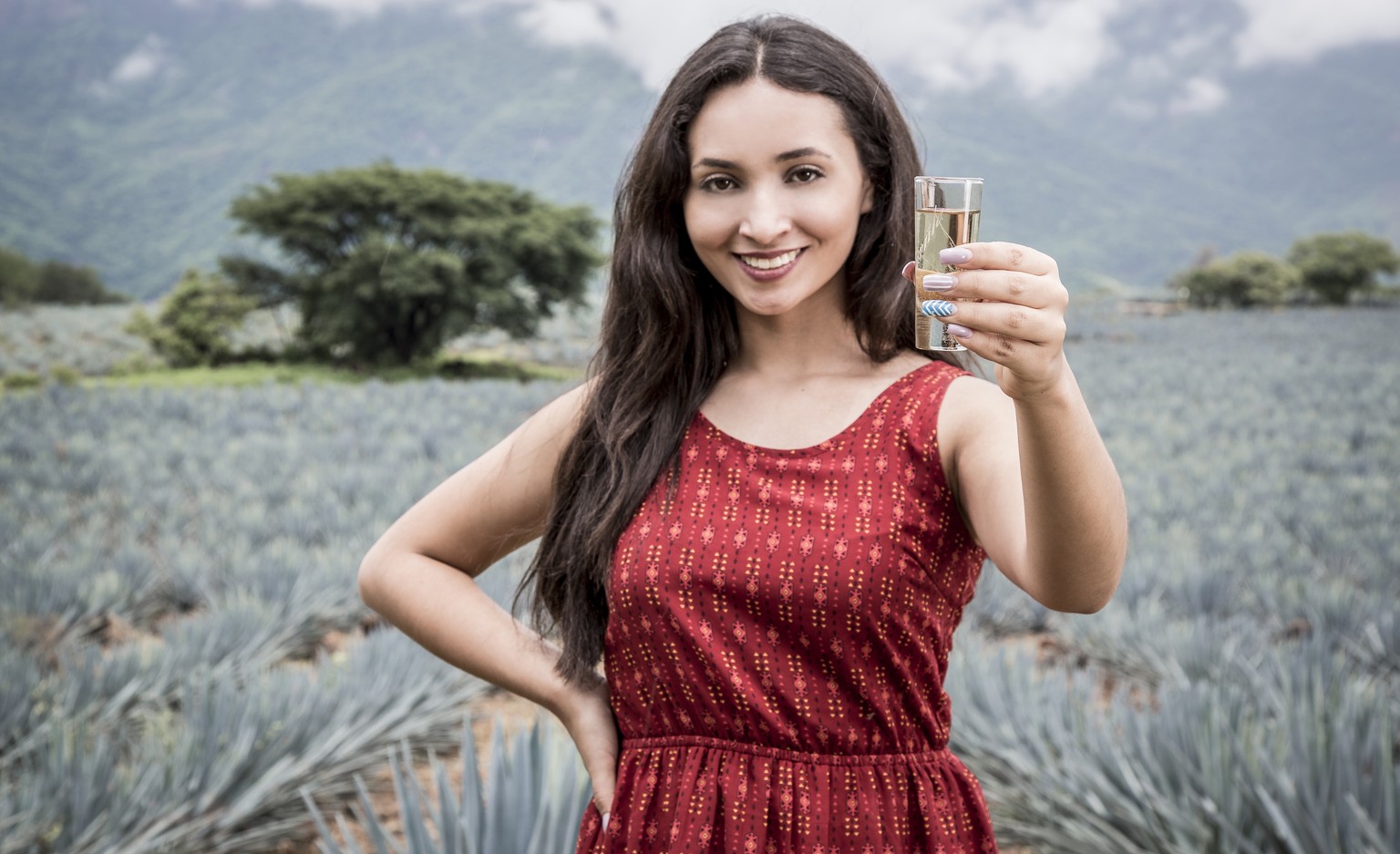 tequila mexiko frau agave felder alkohol schnaps